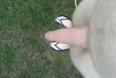 Kleine buiten wandeling, film 00:00:00, 20 reacties, 80 stemmen