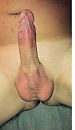Kom je bij me spelen ?, foto 550x943, 2 reacties, 4 stemmen