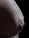 Koud?, foto 410x537, 9 reacties, 20 stemmen