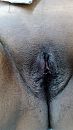 Kut, foto 1440x2560, 12 reacties, 46 stemmen