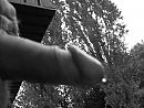 Lekker buiten, foto 2576x1952, 1 reacties, 5 stemmen