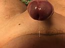 Lekker nat, foto 4000x3000, 4 reacties, 6 stemmen