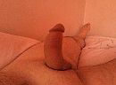 Lekkere dikke lul 1-2, foto 2592x1936, 0 reacties, 0 stemmen