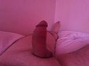 Lekkere dikke lul 2-2, foto 2592x1936, 0 reacties, 0 stemmen
