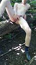 Lig ik weer, foto 2250x4000, 1 reacties, 5 stemmen
