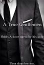 Like a sir, foto 500x732, 1 reacties, 2 stemmen
