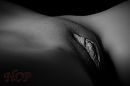 Lipjes..., foto 1400x933, 5 reacties, 86 stemmen