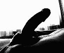 Manoeuvres in the dark, foto 1136x947, 3 reacties, 5 stemmen