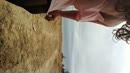 Meisje komt, film 00:00:00, 12 reacties, 52 stemmen