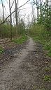 Middag je alleen in het bos, foto 2250x4000, 1 reacties, 2 stemmen
