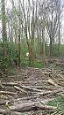 Middagje in het bos, foto 2250x4000, 0 reacties, 2 stemmen
