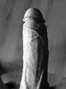 Mijn stijve neukpaal van 21cm, foto 960x1280, 2 reacties, 7 stemmen
