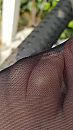 Mmmm, foto 2250x4000, 0 reacties, 2 stemmen