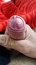 Mmmm, foto 2250x4000, 0 reacties, 2 stemmen