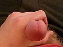 Mn eikel, foto 3984x2988, 0 reacties, 1 stemmen