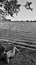 Mooi plekje, foto 2190x3838, 14 reacties, 91 stemmen
