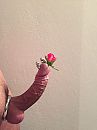 Mooie roos...., foto 2448x3264, 2 reacties, 14 stemmen