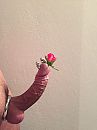 Mooie roos...., foto 2448x3264, 2 reacties, 15 stemmen