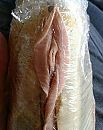 Morgen....., foto 412x518, 2 reacties, 5 stemmen