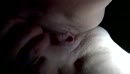 Natte poes1, film 00:00:13, 14 reacties, 59 stemmen