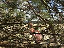 Natuur, foto 3264x2448, 10 reacties, 86 stemmen
