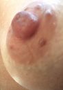 Nog even van top ...., foto 909x1280, 5 reacties, 28 stemmen