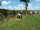 Oeps ff pissen, foto 3648x2736, 3 reacties, 61 stemmen