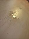 Oeps, foto 374x499, 1 reacties, 7 stemmen