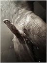 Onder de douche, foto 720x960, 2 reacties, 5 stemmen