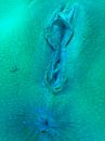 Onder de hoogtezon, foto 1200x1600, 1 reacties, 7 stemmen