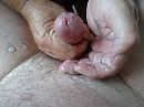 Ontladen zaad, foto 4000x3000, 3 reacties, 15 stemmen
