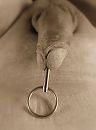 Ook een heerlijke plug ..., foto 800x1080, 0 reacties, 9 stemmen