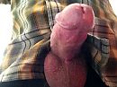 Op het werk..., foto 640x480, 5 reacties, 11 stemmen