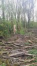 Op verzoek, foto 2250x4000, 0 reacties, 1 stemmen