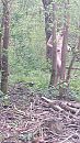 Op verzoek, foto 2250x4000, 0 reacties, 1 stemmen