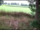Opdracht, film 00:00:00, 6 reacties, 63 stemmen