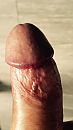 Paddestoel voor mevrouw, foto 750x1334, 1 reacties, 4 stemmen