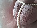 Pearls !, foto 1280x960, 5 reacties, 25 stemmen