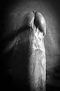 Pi(e)k, foto 1792x2715, 2 reacties, 9 stemmen