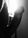 Pik in tegenlicht, foto 2448x3264, 0 reacties, 5 stemmen