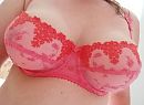 Pink passion, foto 1461x1076, 18 reacties, 134 stemmen