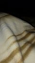 Rara, foto 1836x3264, 0 reacties, 0 stemmen