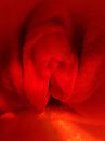 Sauna, foto 3000x4000, 1 reacties, 25 stemmen