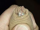Soppie!, foto 4000x3000, 0 reacties, 1 stemmen