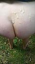Sperma op mijn kont 2, foto 718x1280, 10 reacties, 142 stemmen
