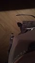 Staat al lekker onder spanning, foto 360x640, 0 reacties, 2 stemmen