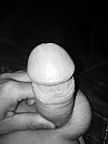Stijf, foto 2448x3264, 6 reacties, 24 stemmen