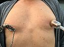 Tepels, foto 2048x1536, 1 reacties, 11 stemmen