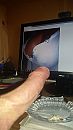 Tussen, foto 1836x3264, 0 reacties, 4 stemmen
