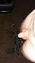 Uitdaging, foto 1836x3264, 2 reacties, 19 stemmen